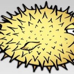 Tutorial: How to install OpenBSD 4.8, step by step