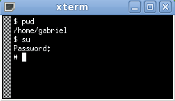 OpenBSD xterm