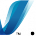 Microsoft .NET Framework logo (copyright Microsoft, all right reserved)